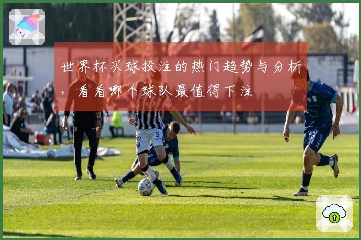 世界杯买球投注的热门趋势与分析，看看哪个球队最值得下注