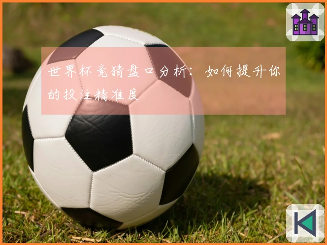 世界杯竞猜盘口分析：如何提升你的投注精准度
