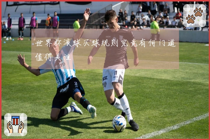 世界杯滚球买球规则究竟有何门道值得关注