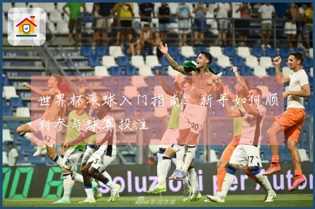 世界杯滚球入门指南：新手如何顺利参与球赛投注