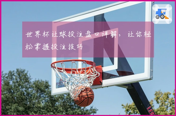 世界杯让球投注盘口详解，让你轻松掌握投注技巧