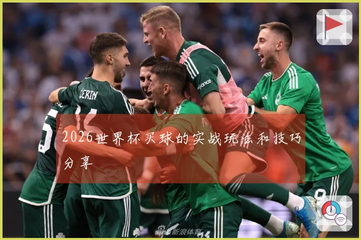 2026世界杯买球的实战玩法和技巧分享