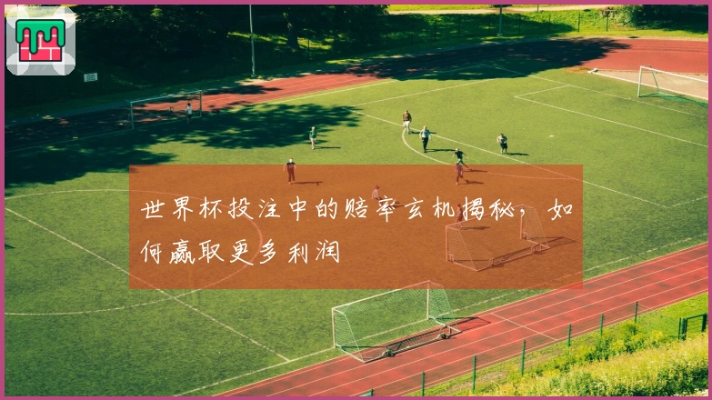 世界杯投注中的赔率玄机揭秘，如何赢取更多利润