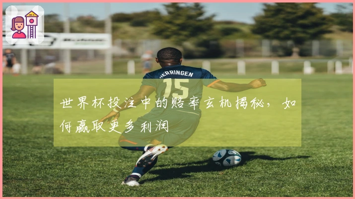 世界杯投注中的赔率玄机揭秘，如何赢取更多利润