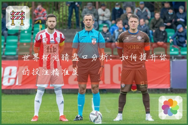世界杯竞猜盘口分析：如何提升你的投注精准度