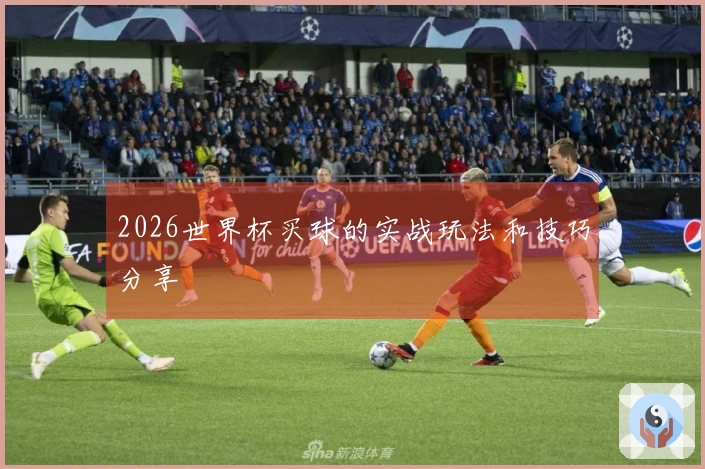 2026世界杯买球的实战玩法和技巧分享