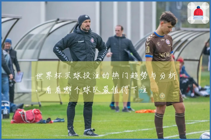 世界杯买球投注的热门趋势与分析，看看哪个球队最值得下注