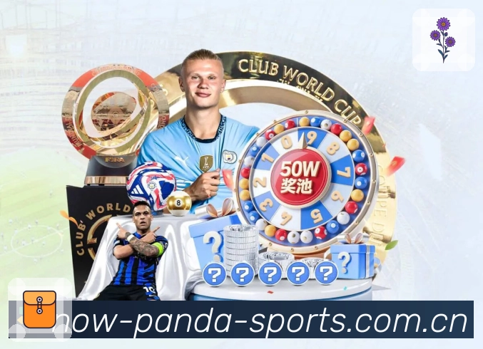 功能与合规认证展示